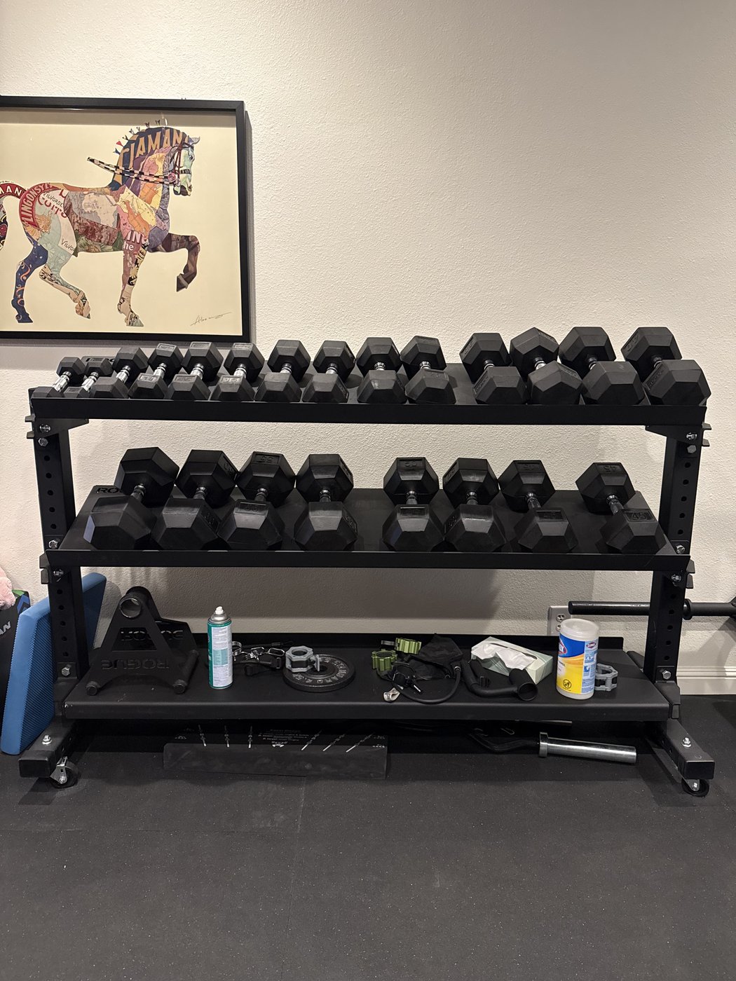 Full hex dumbbell rack at VAL Chiropractic rehab gym